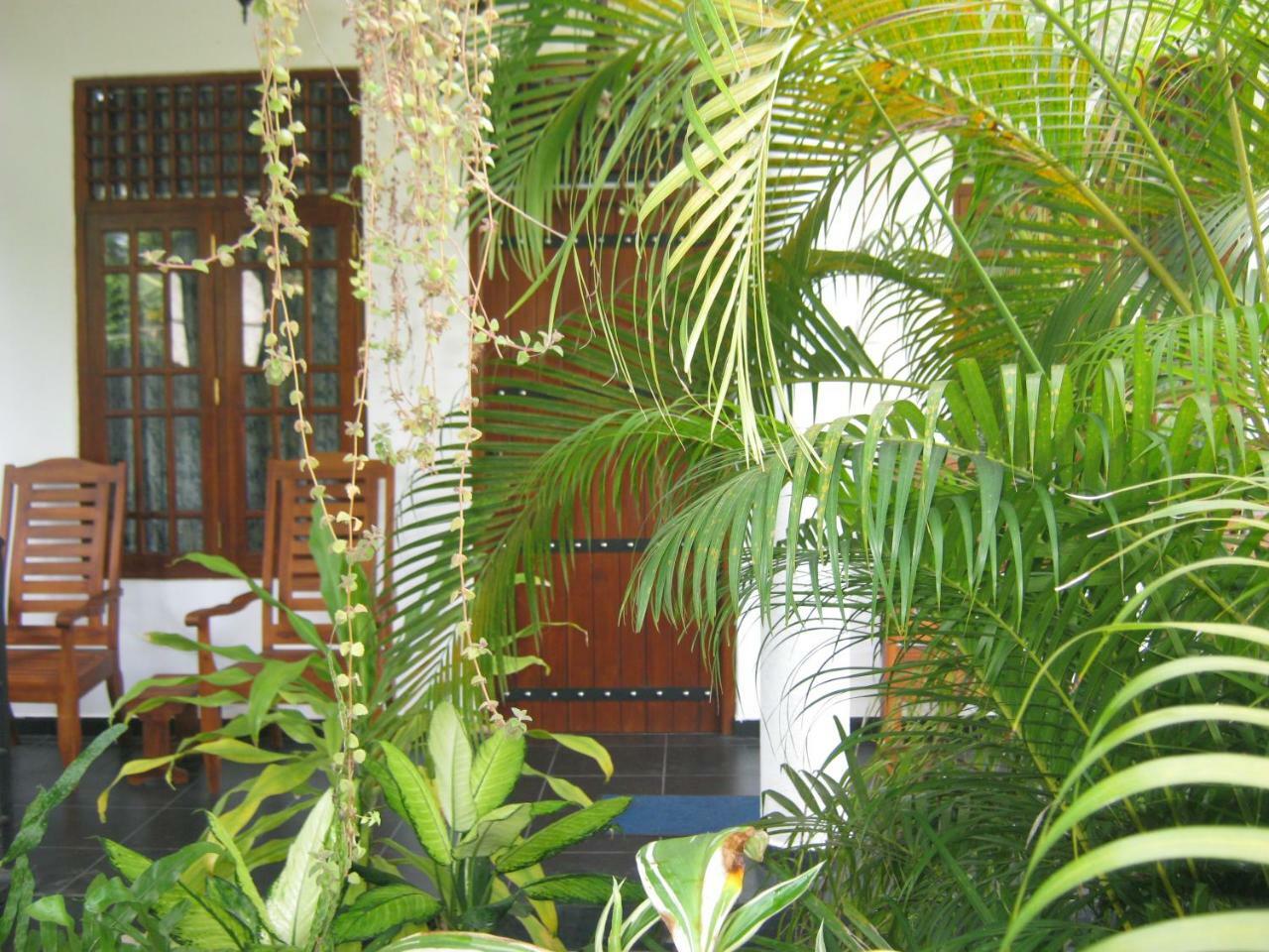 Golden Pearl Safari Villa Udawalawe Buitenkant foto